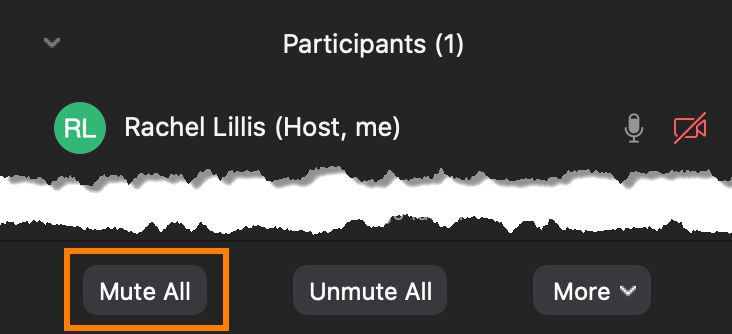 Zoom Mute All button at the bottom of the Participants dialog.